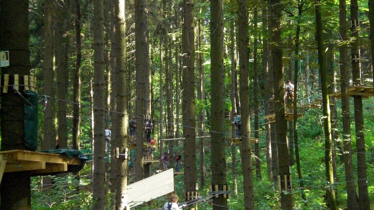 Kletterwald in Thüringen für Familien, Vereine und Klassenfahrten